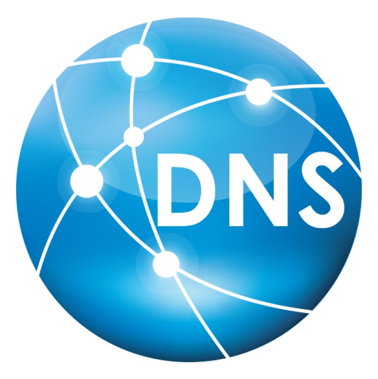 IP , DNS , NS, MX, CNAME, AA