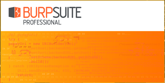 BurpSuite Pro v2020.9.2 Full Temiz indir
